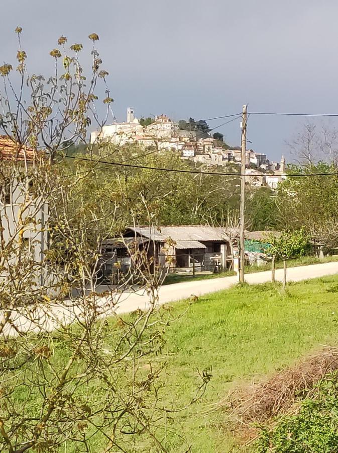 Apartman Tramonto Apartment Motovun Exterior photo